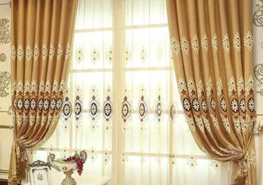 برادي زيبرا